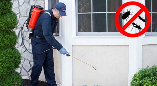 Gerger Hamam Böceği İlaçlama böcek ilaçlama ve haşere kontrolü — ilaclama-tr.com